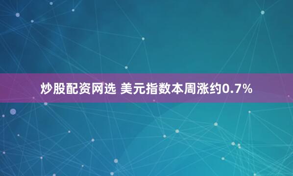炒股配资网选 美元指数本周涨约0.7%