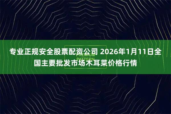 专业正规安全股票配资公司 2026年1月11日全国主要批发市场木耳菜价格行情